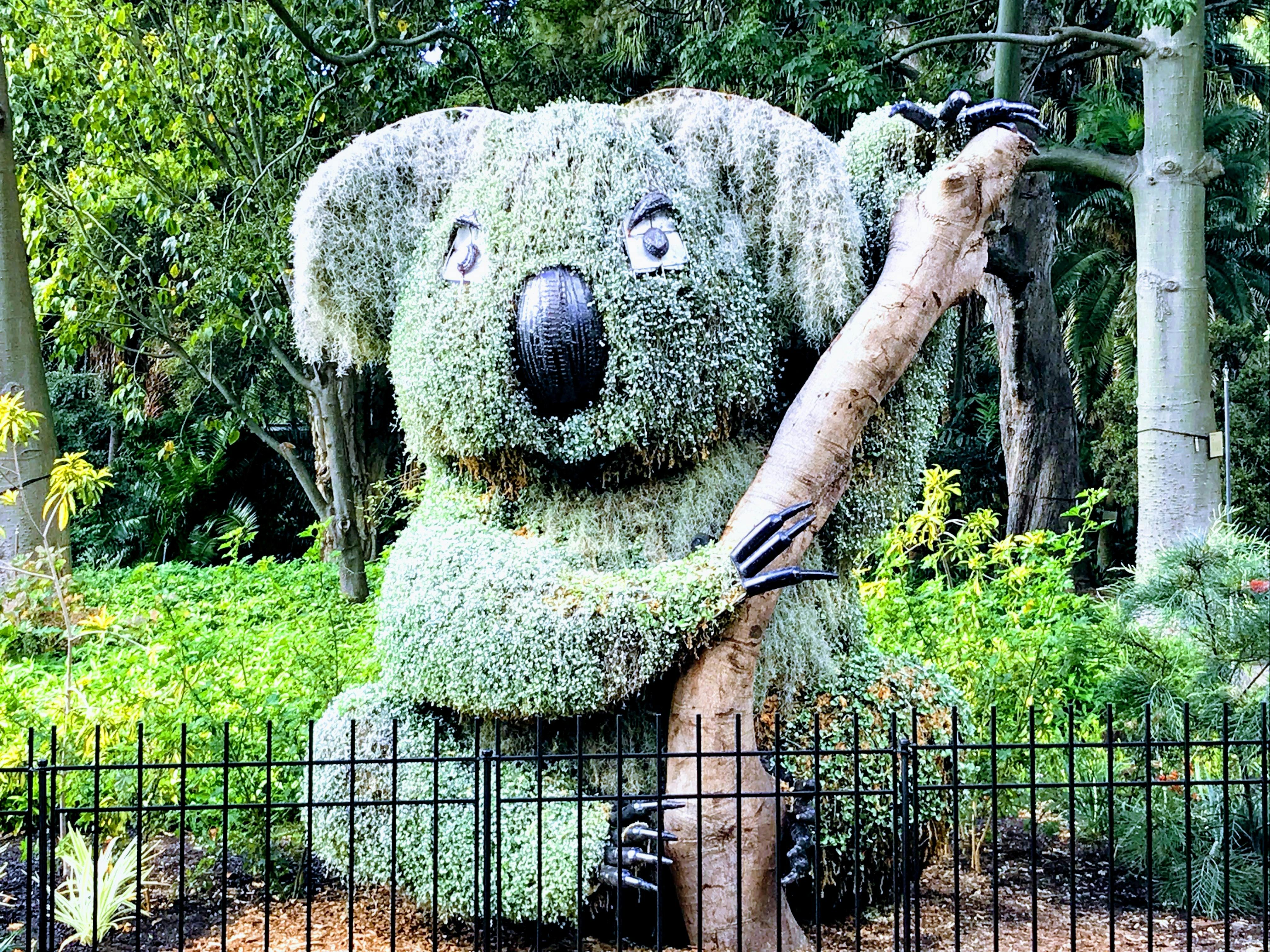 Discover Sydney Botanic