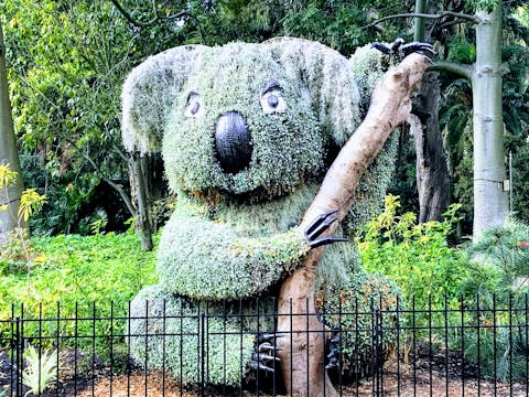 探索雪梨植物園
