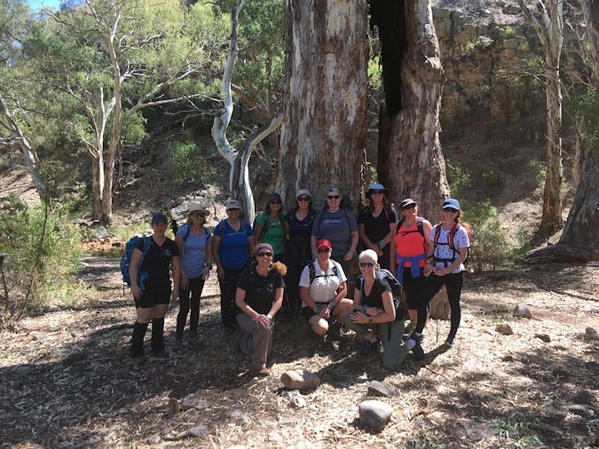 3 day trip to the South Flinders Ranges Comfortable Guided Tour