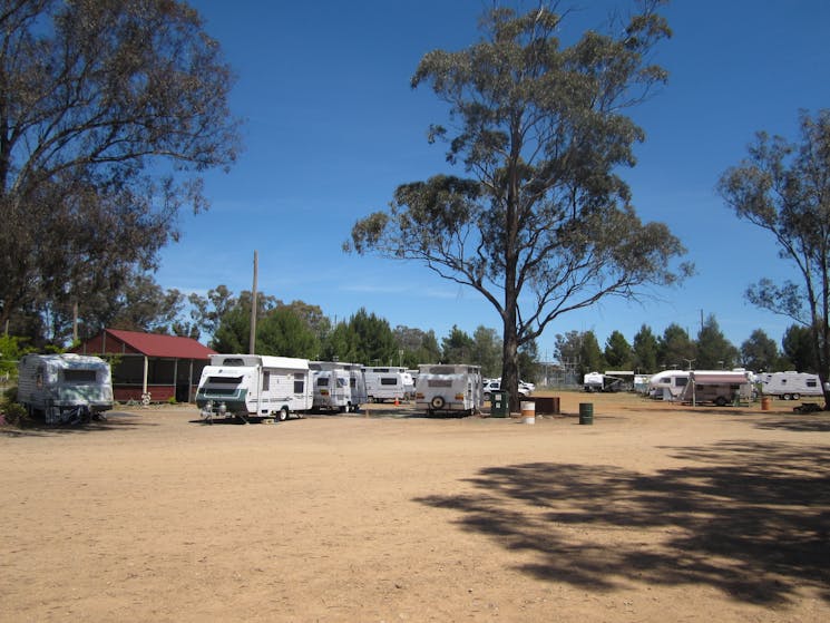 Camping for the Mary Gilmore Festival