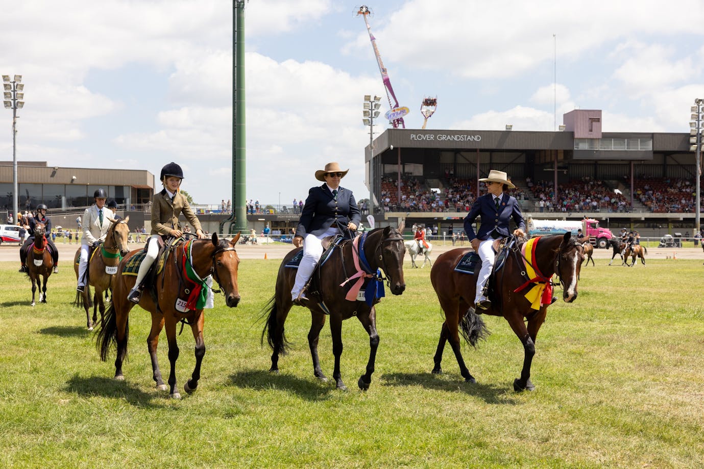 three award-winning horses at the Royal Canberra Show