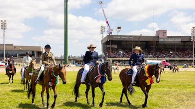 three award-winning horses at the Royal Canberra Show