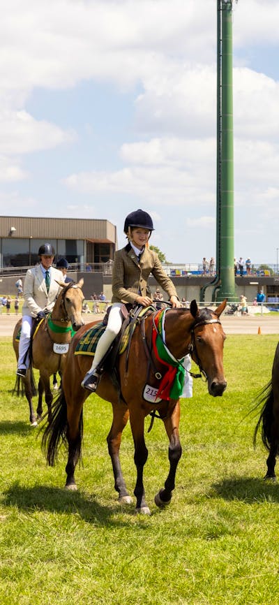three award-winning horses at the Royal Canberra Show