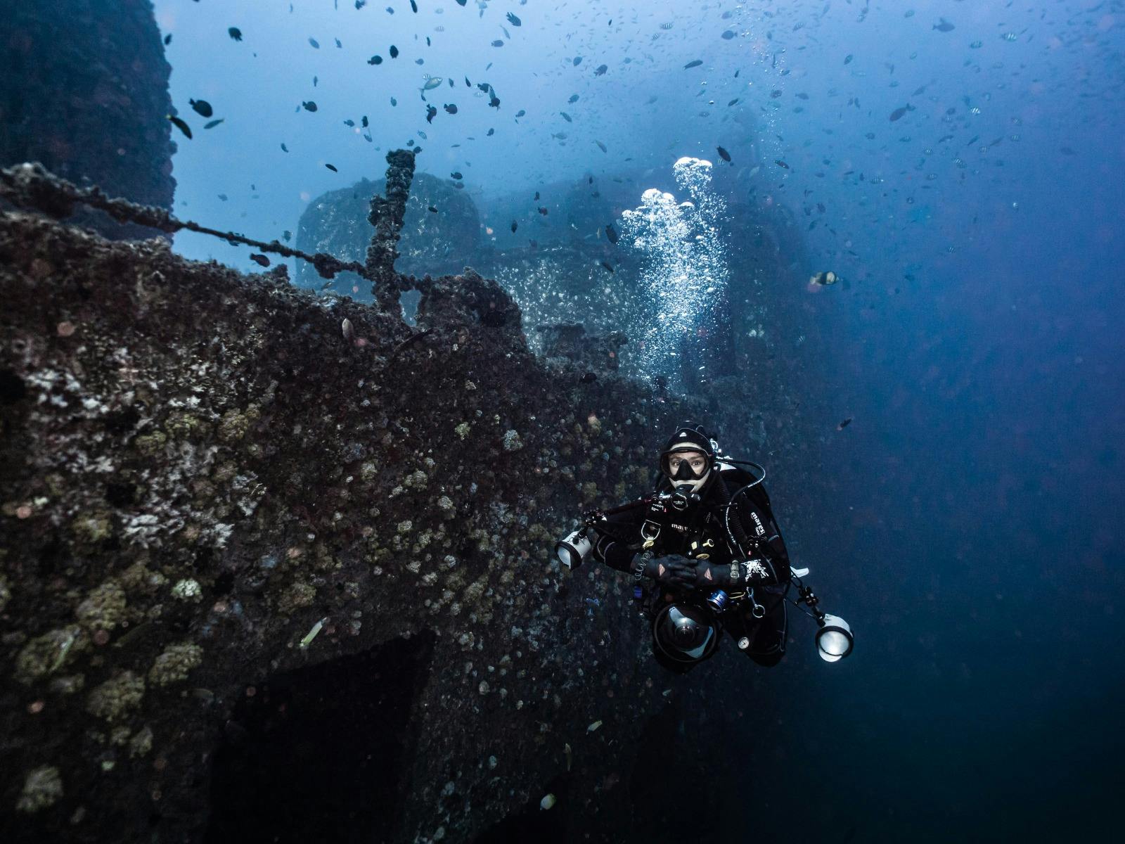 Diver swimming around the HMAs Brisbane Wreck