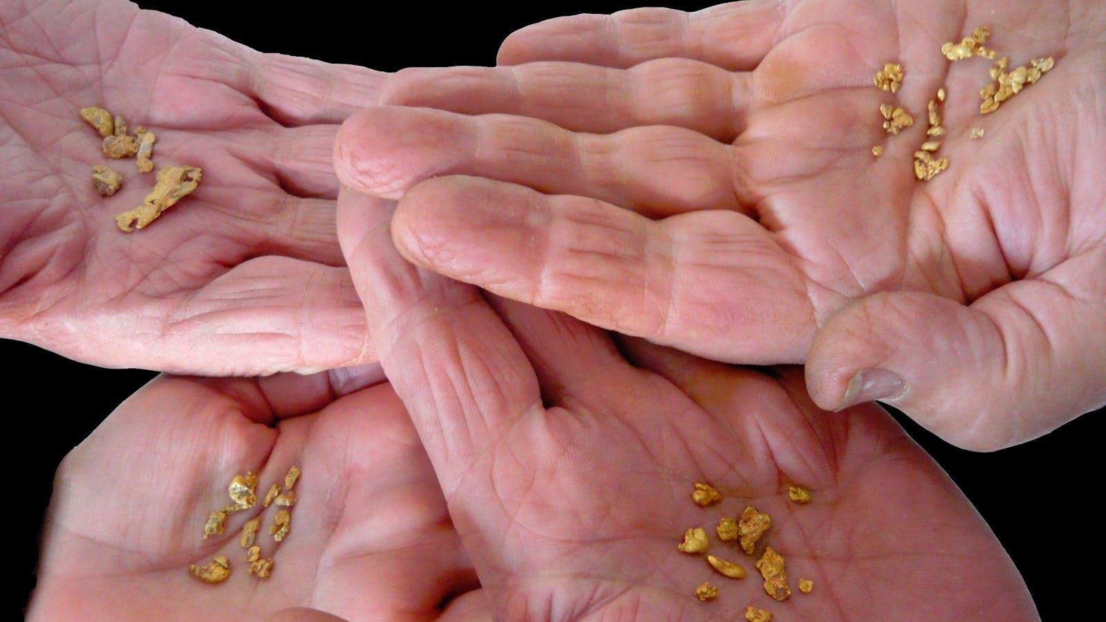 Gold and Relics Gold Prospecting Adventure Tours