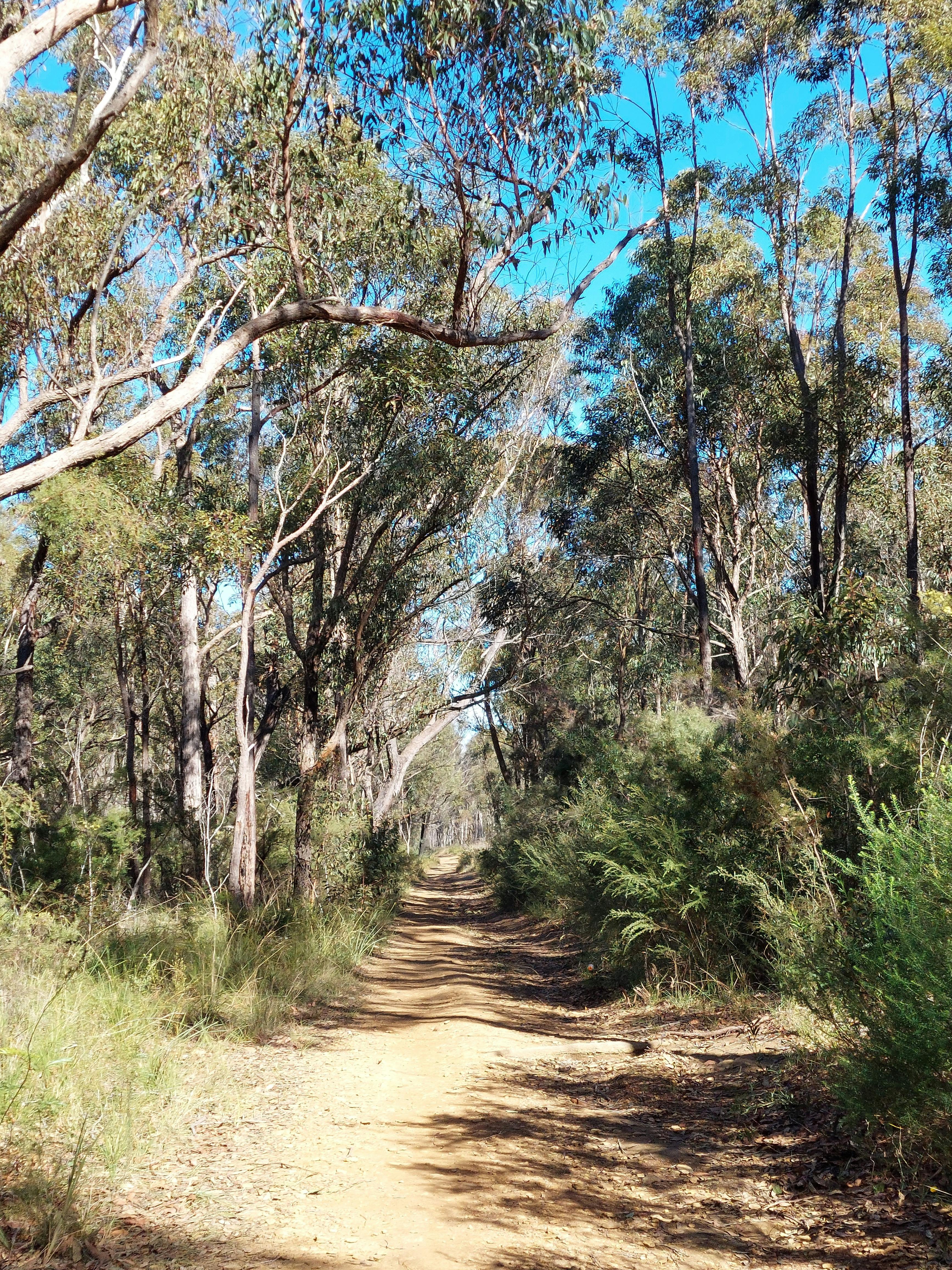 Walking trail in Buxton