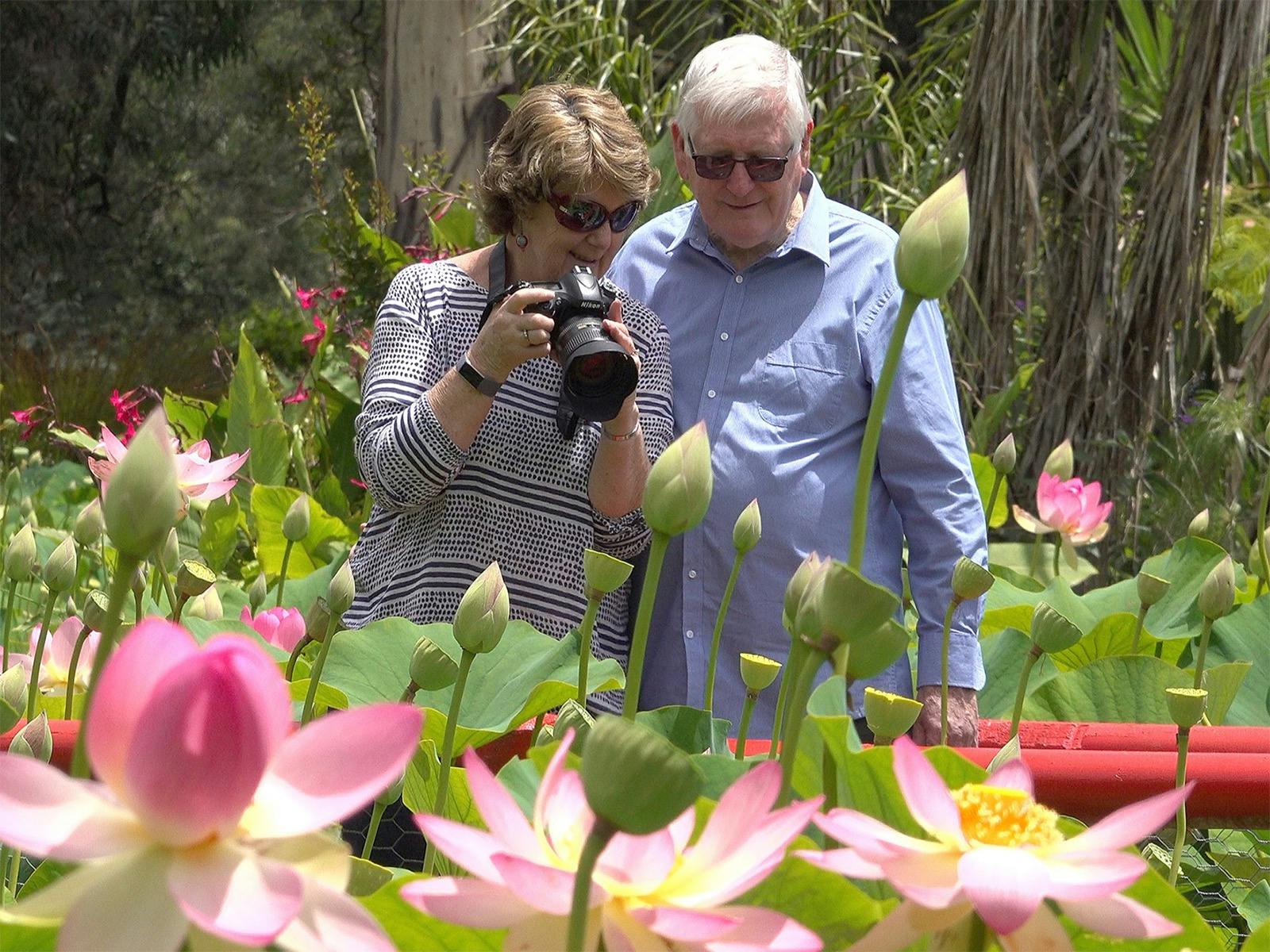 Couple enjoying the flowers