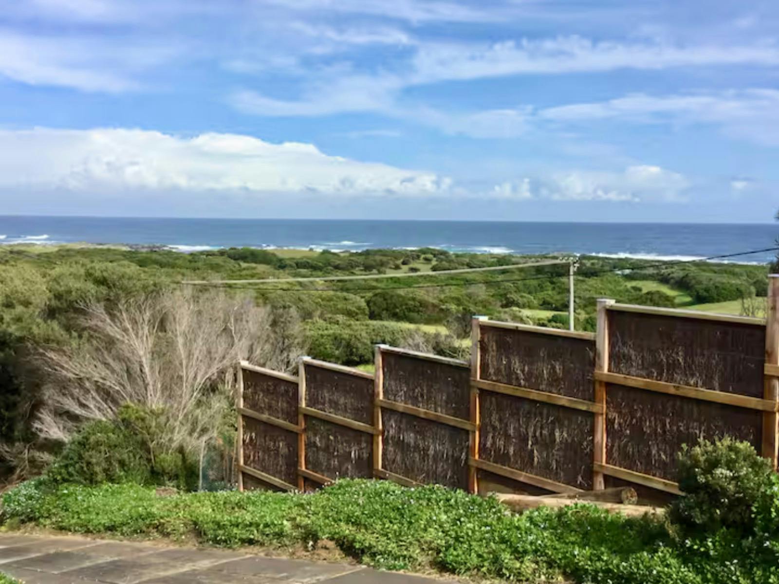 Actual view from living room