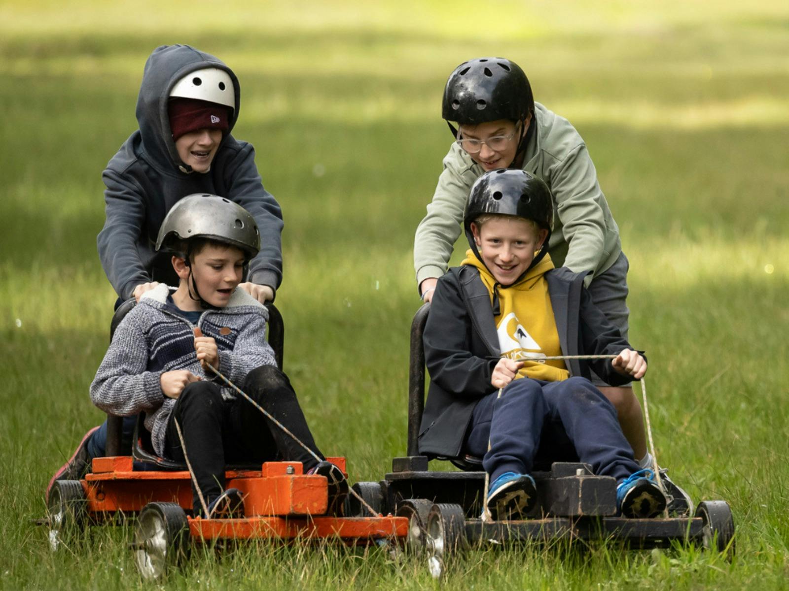 Go Wild at SAH - School Holiday