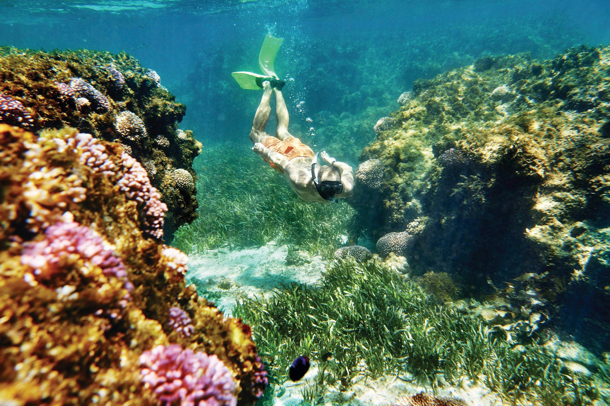 Rottnest Island