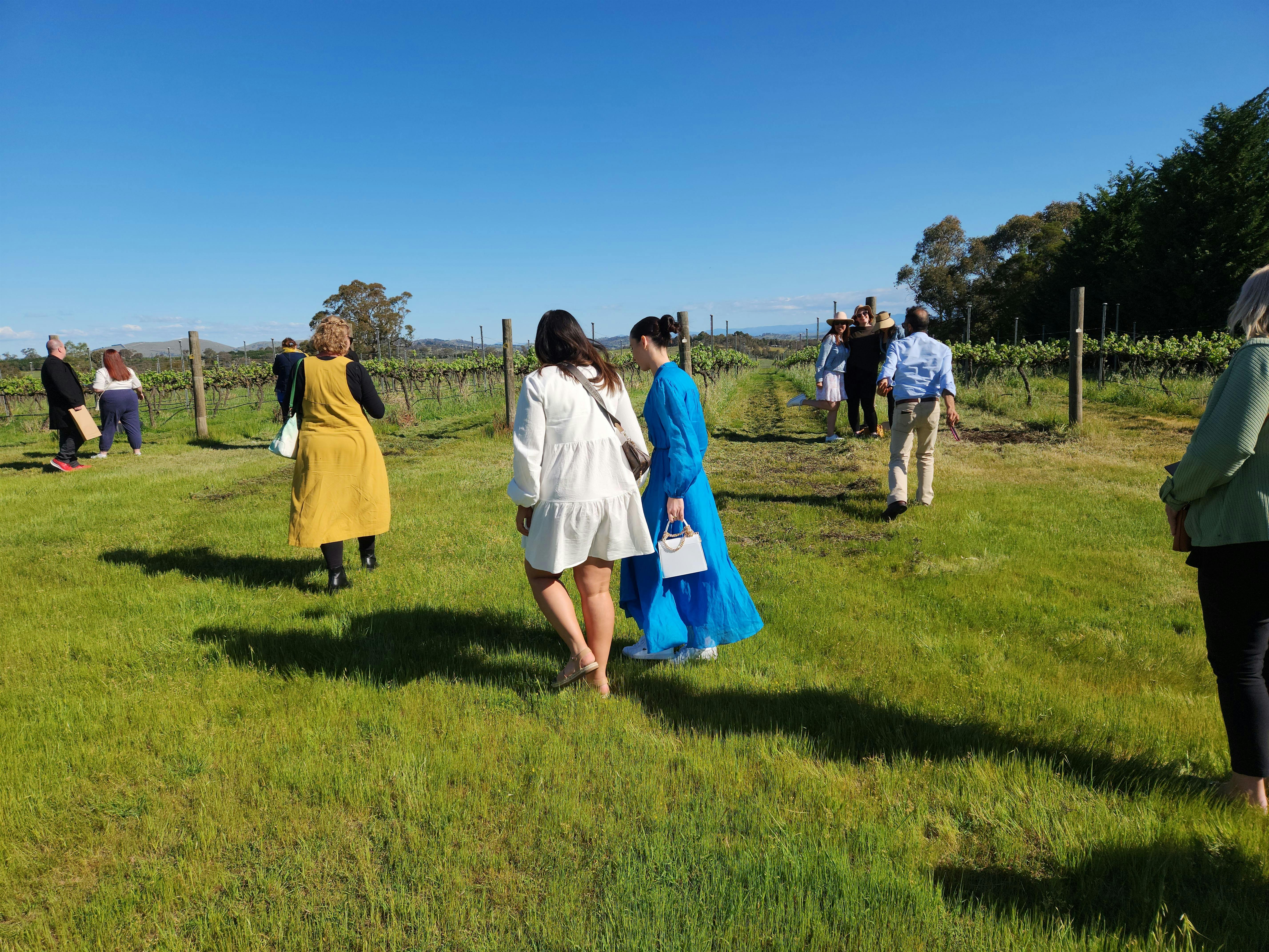 A group of people walking in a field, enjoying the outdoors and the beauty of nature.