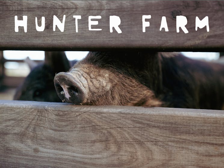 Hunter Farm