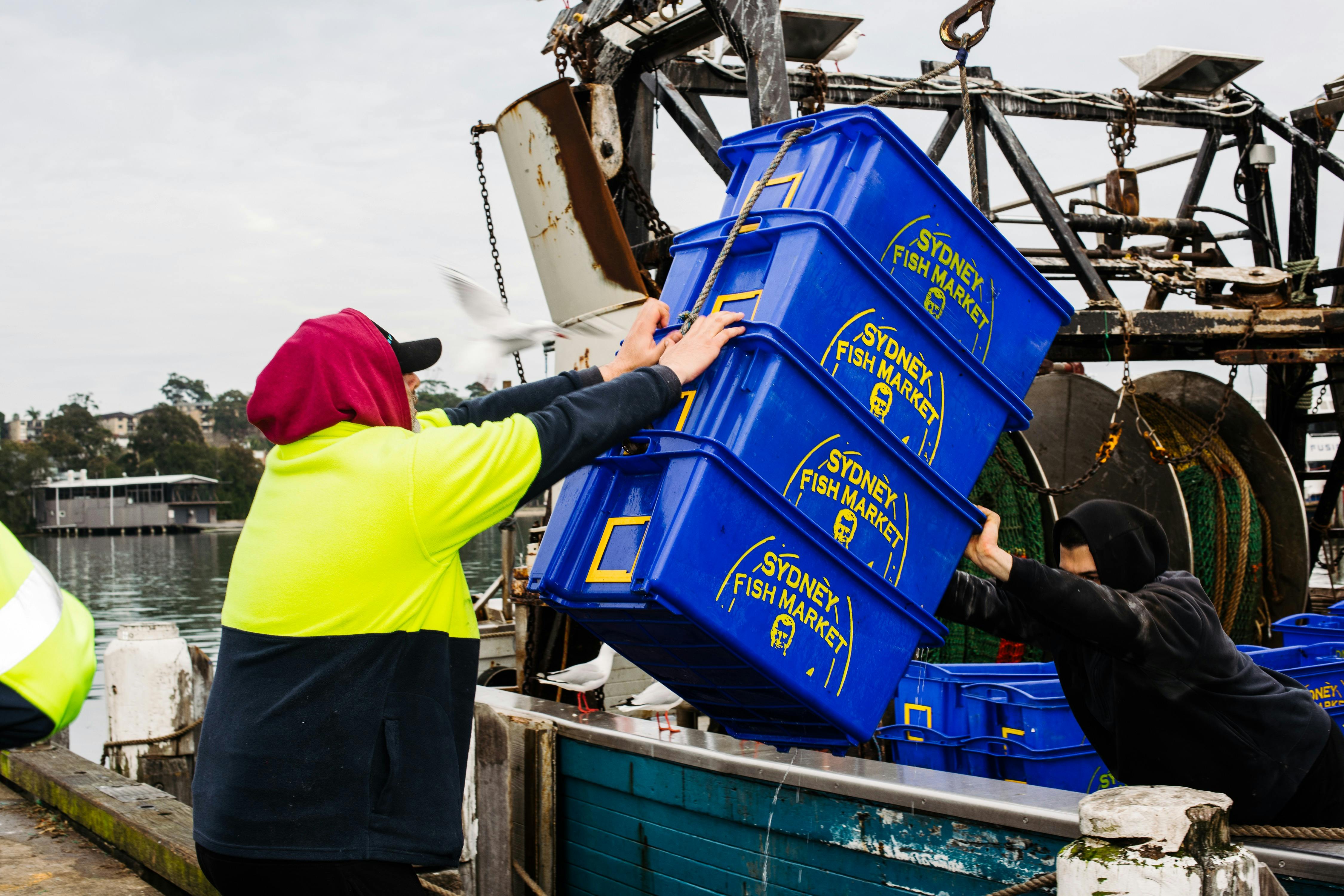 Sydney Fish Market Behind the Scenes Tours