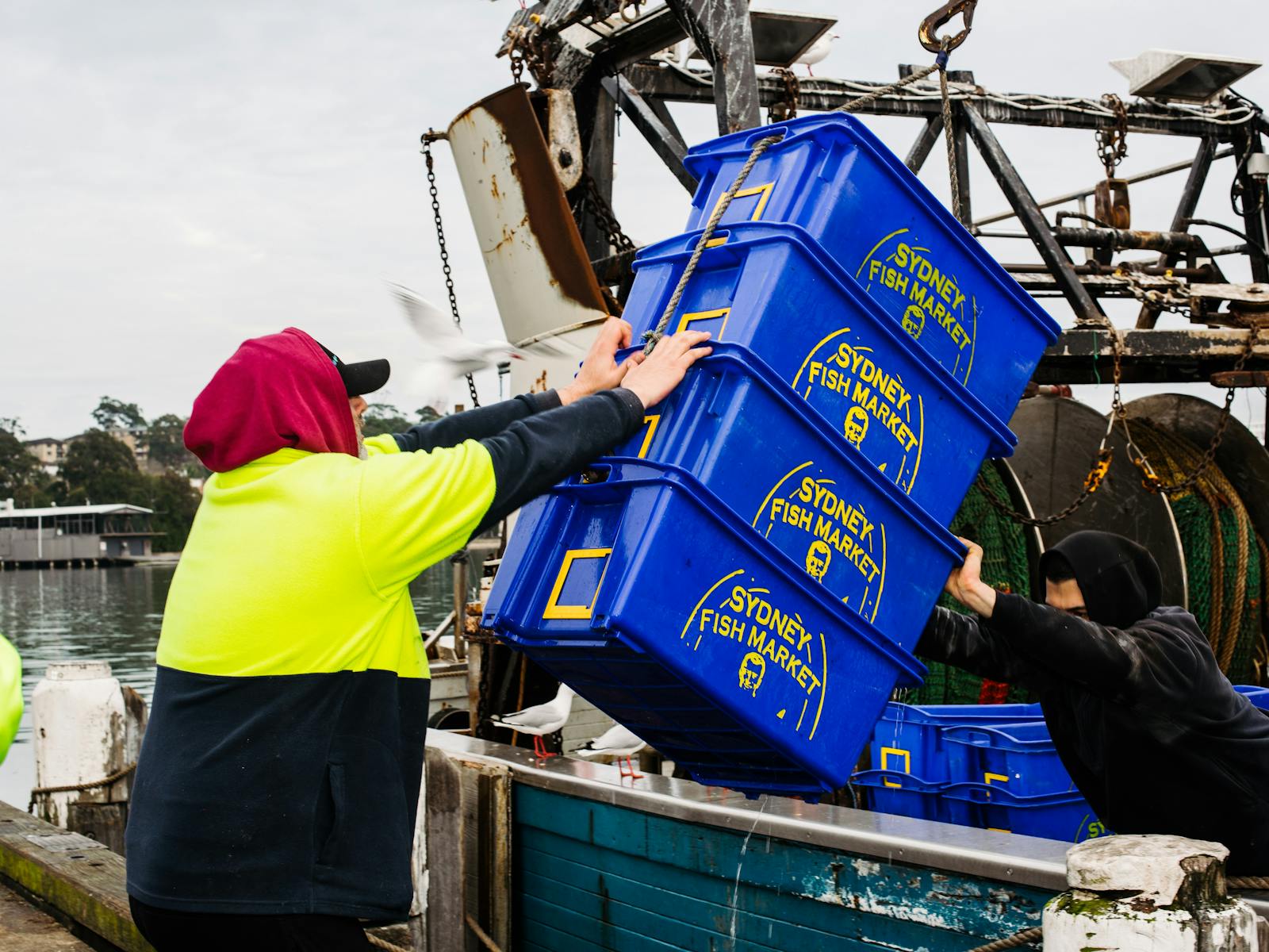 漁船から魚箱を降ろす男性
