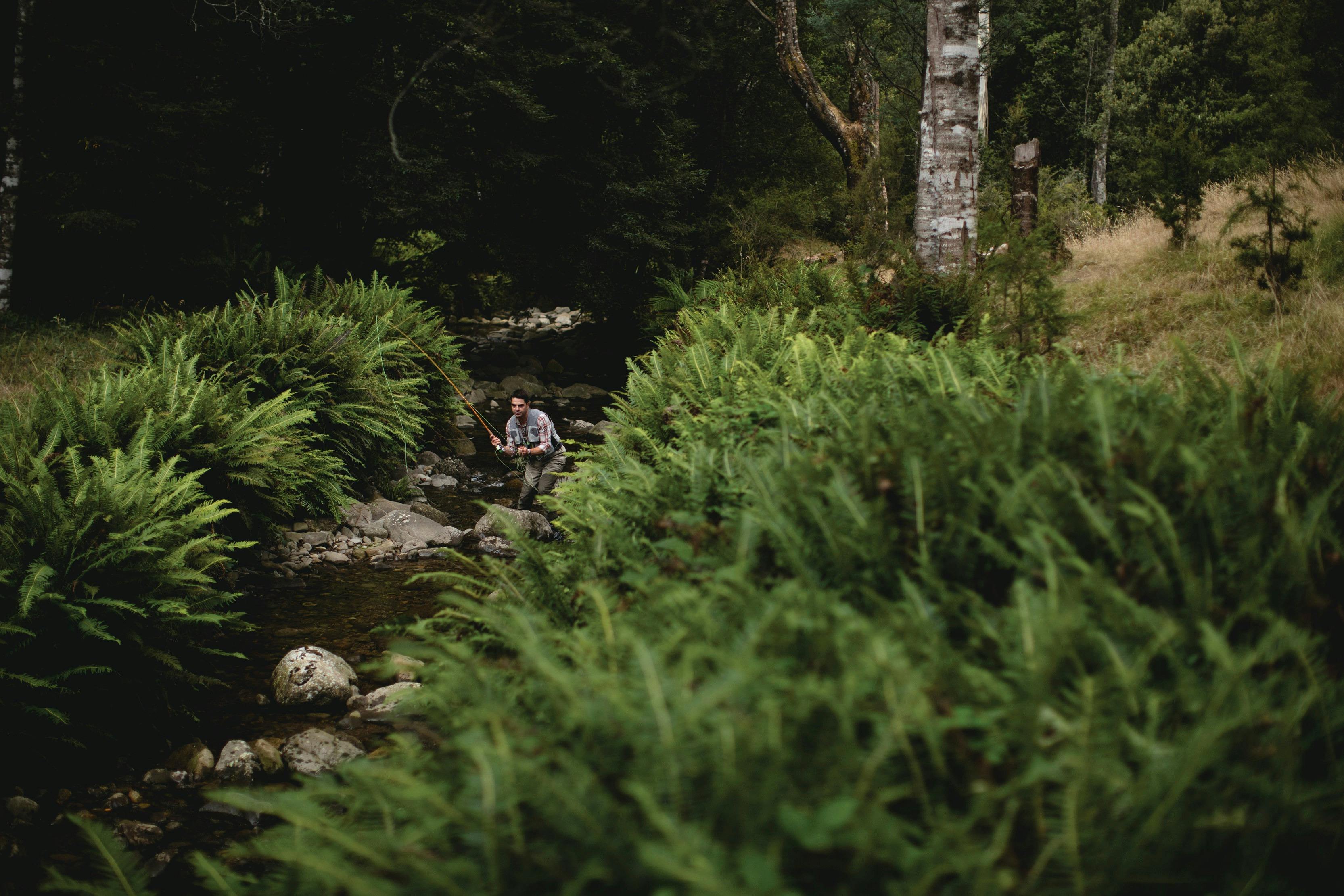 Visit Northern Tasmania Cressy