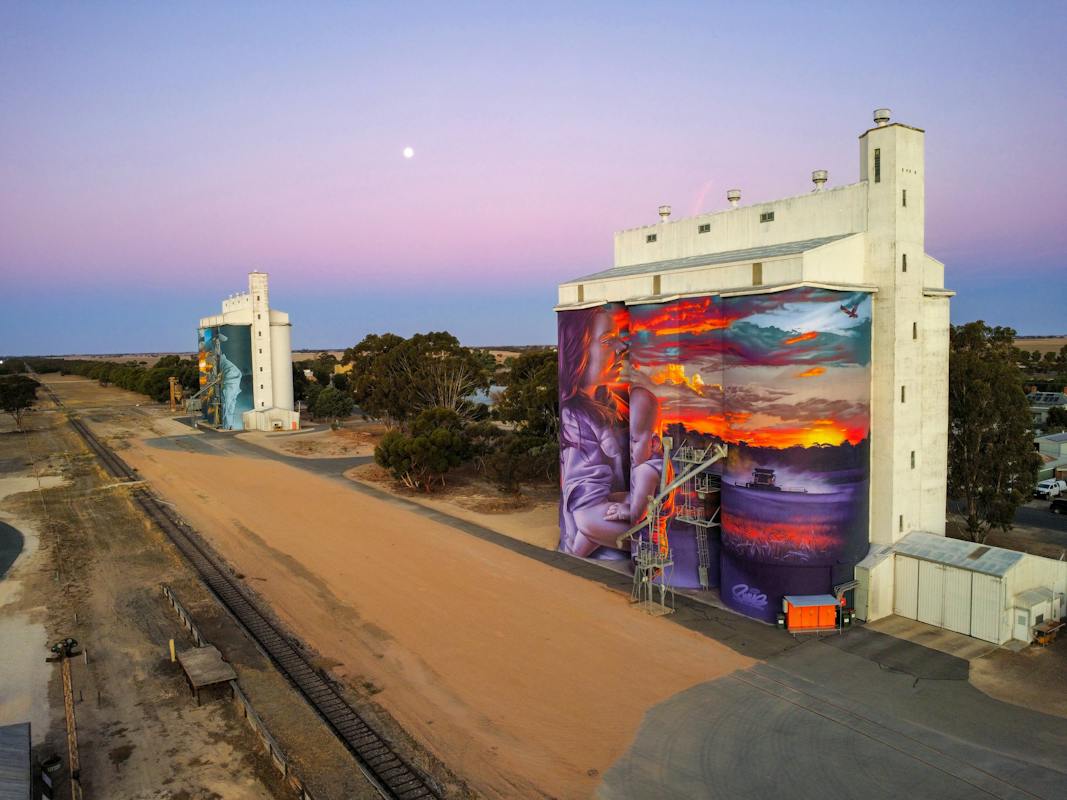 Lameroo Silo Art Project. Artist = Sam 'Smug' Bates.