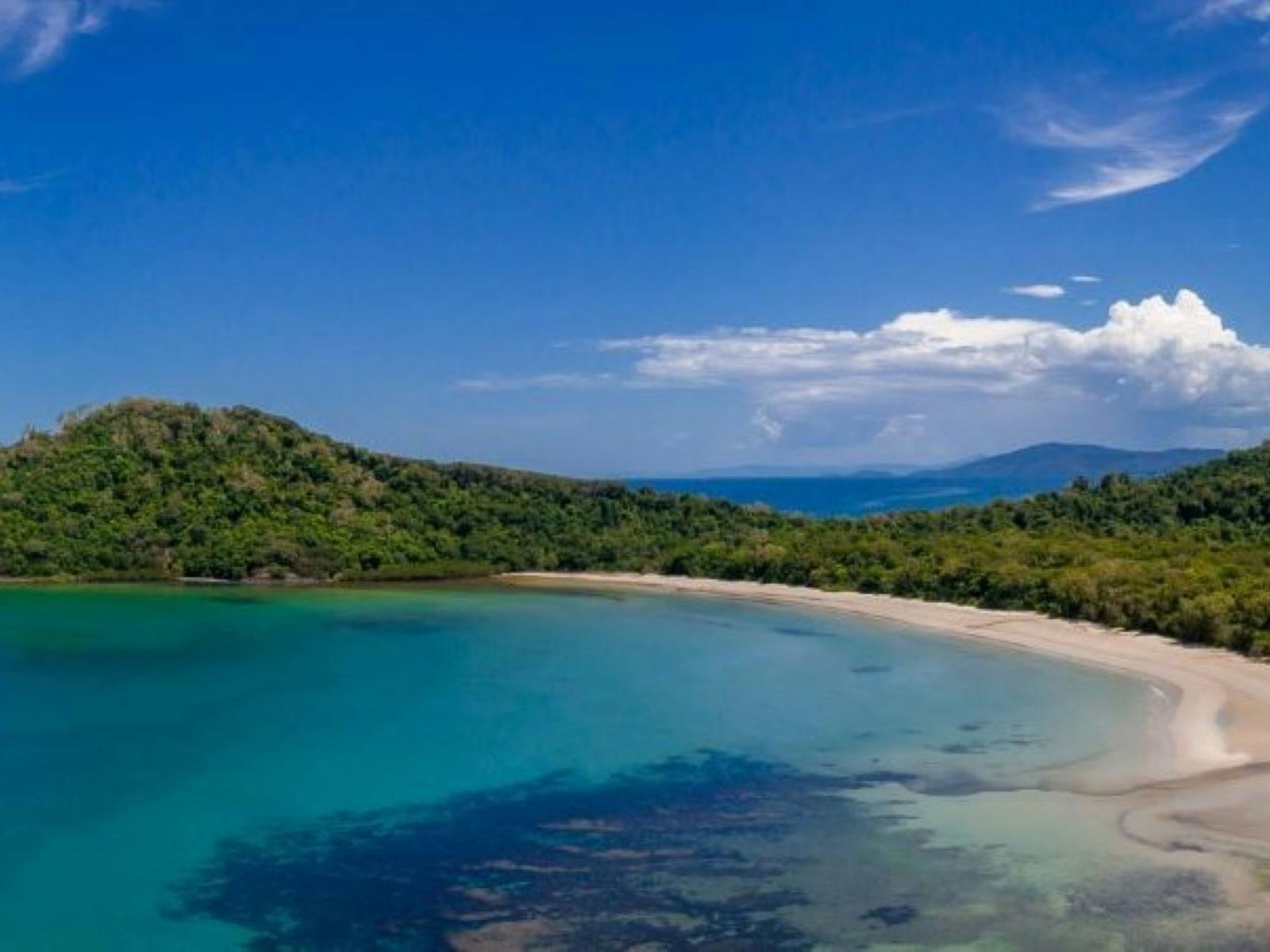 View of the stunning rainforest clad headland and beach with blue skies and sea View of the stunning rainforest clad headland and beach with blue skies and sea