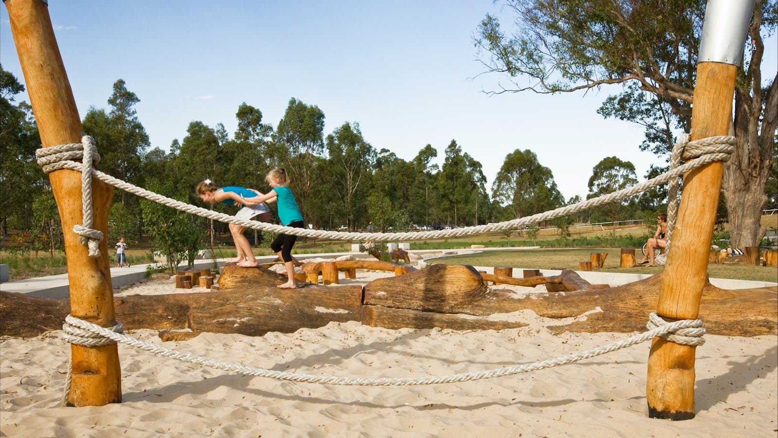 Lizard Log Zig Zag Track