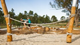 Lizard Log Zig Zag Track
