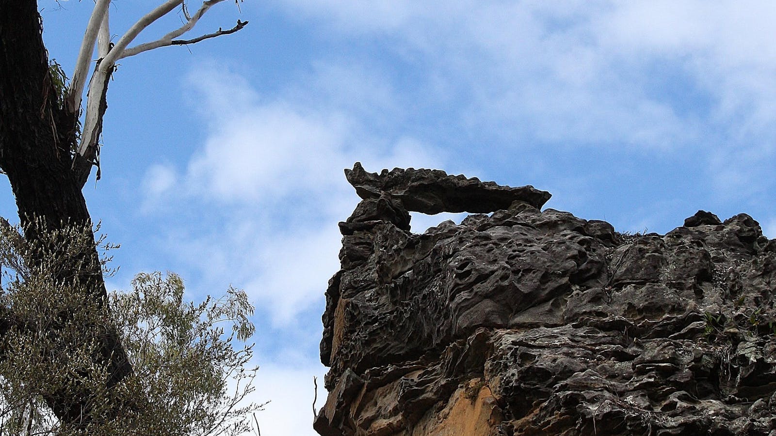 Tambo's Wilderness Way