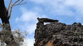 Tambo Tourism