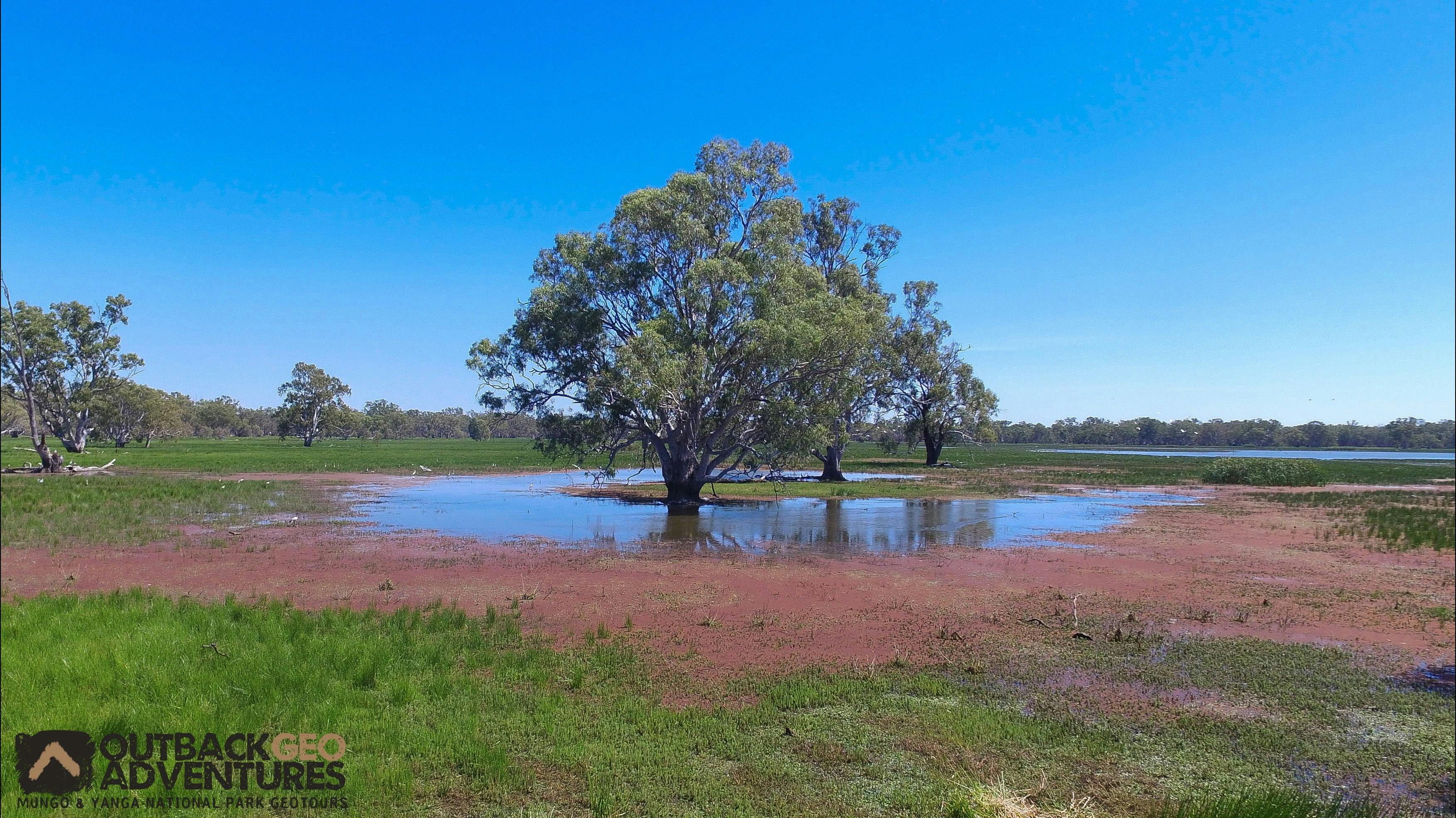 Balranald, NSW에서 출발하는 Yanga Tours