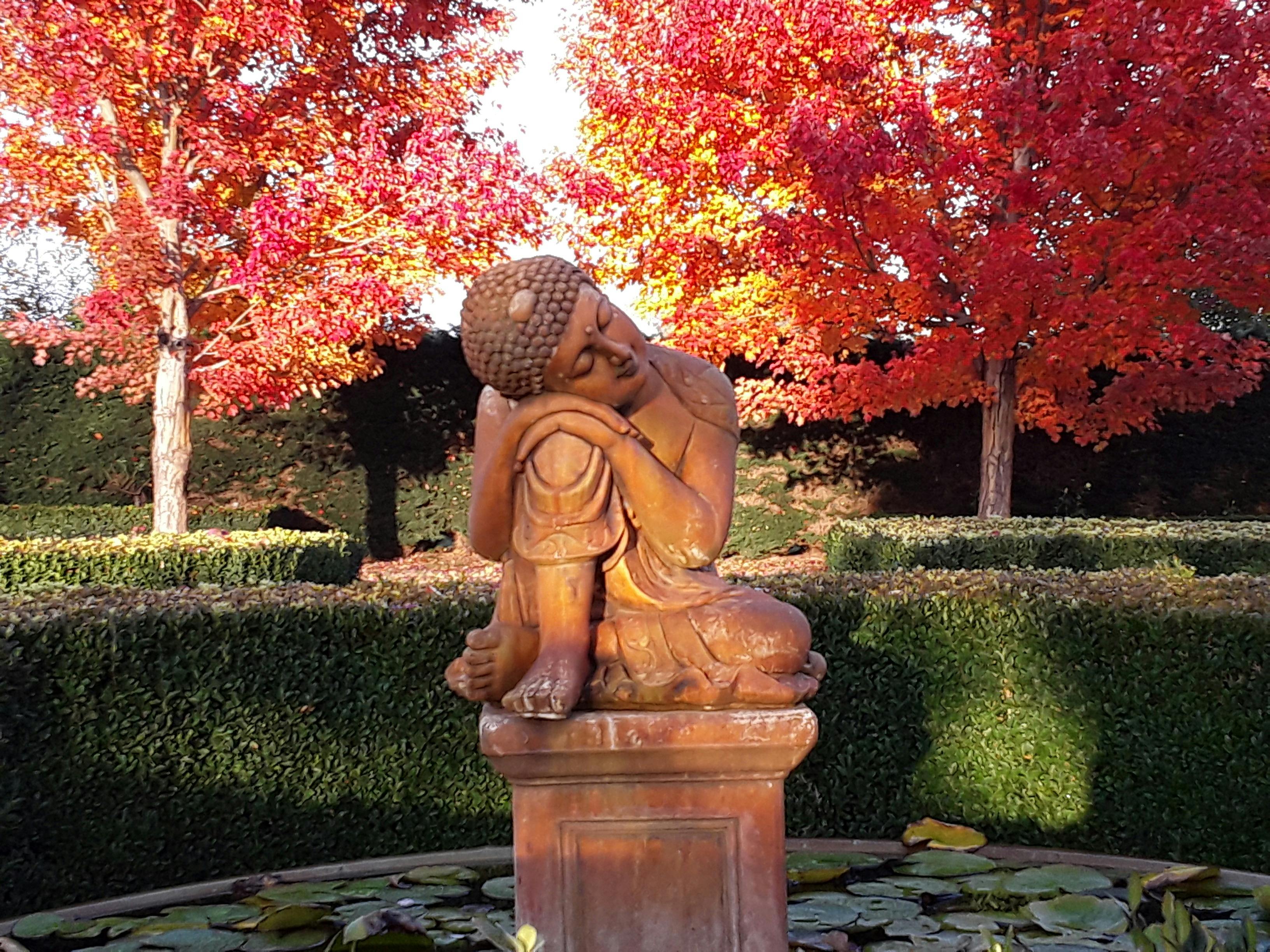 High Country Gardens, Cafe, Gallery and Maze