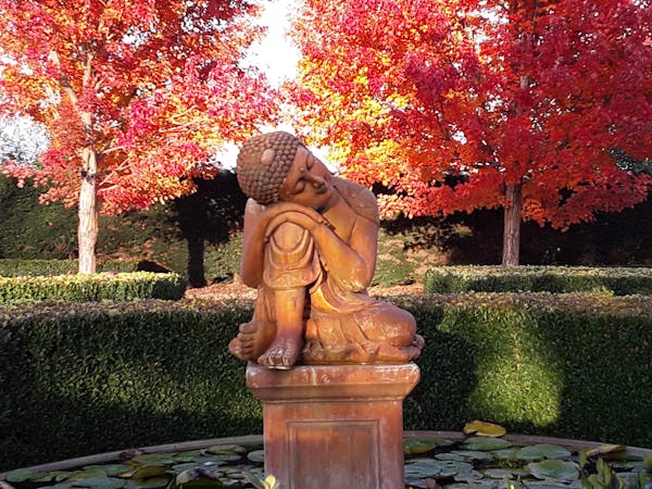 Buddha statue with autumn trees in background