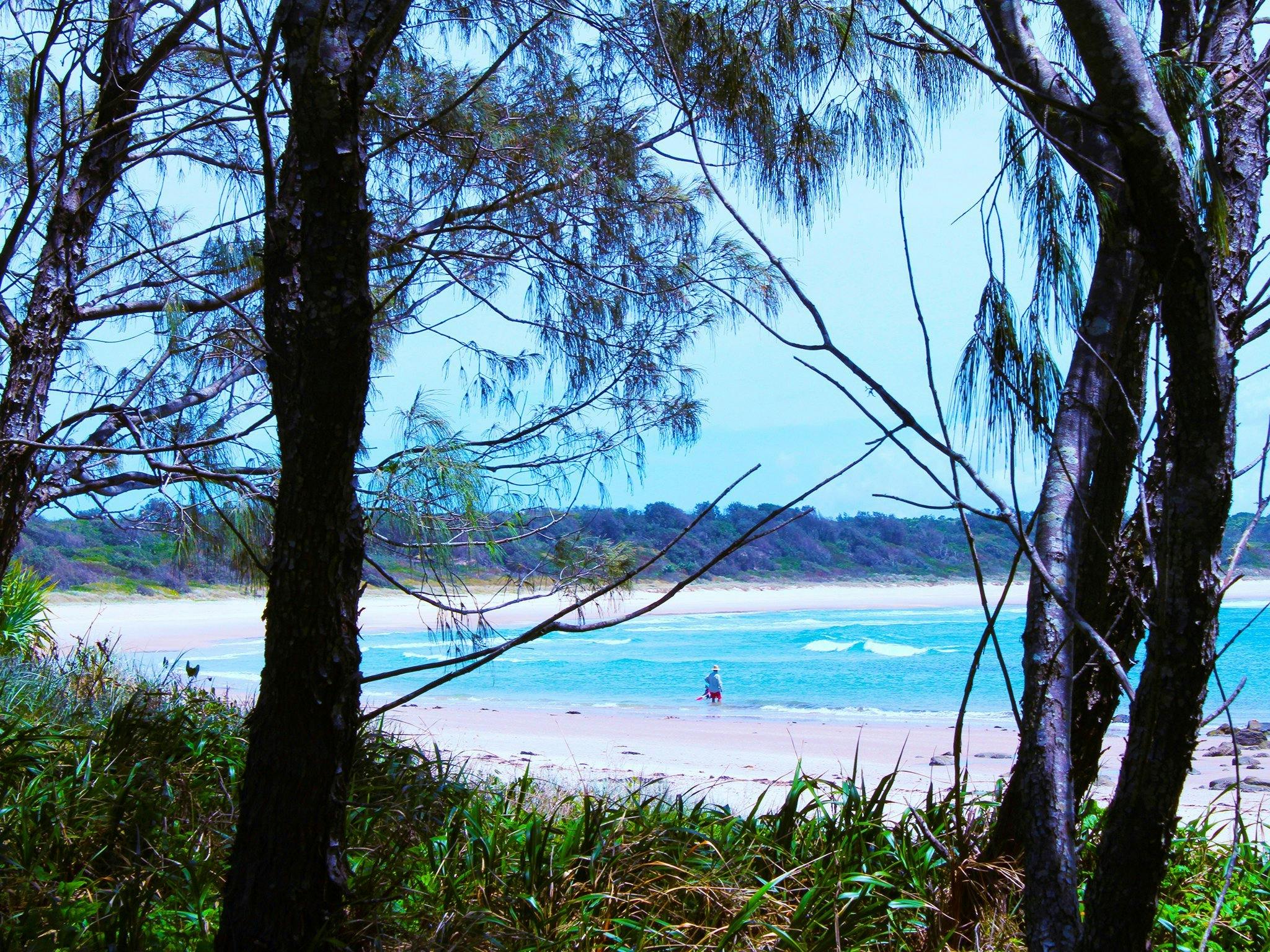 Bluff Beach NSW Holidays & Things to Do, Attractions