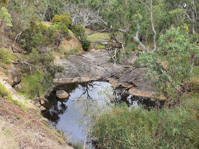 Victor Harbor and Fleurieu Peninsula Tour