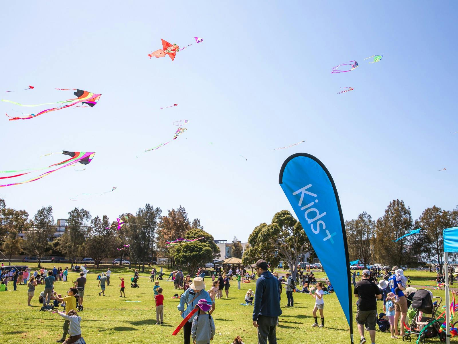 Colourful kites fly across a blue sky as people gather below. a blue Kids+ banner appears