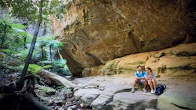 Carnarvon Gorge, Carnarvon National Park