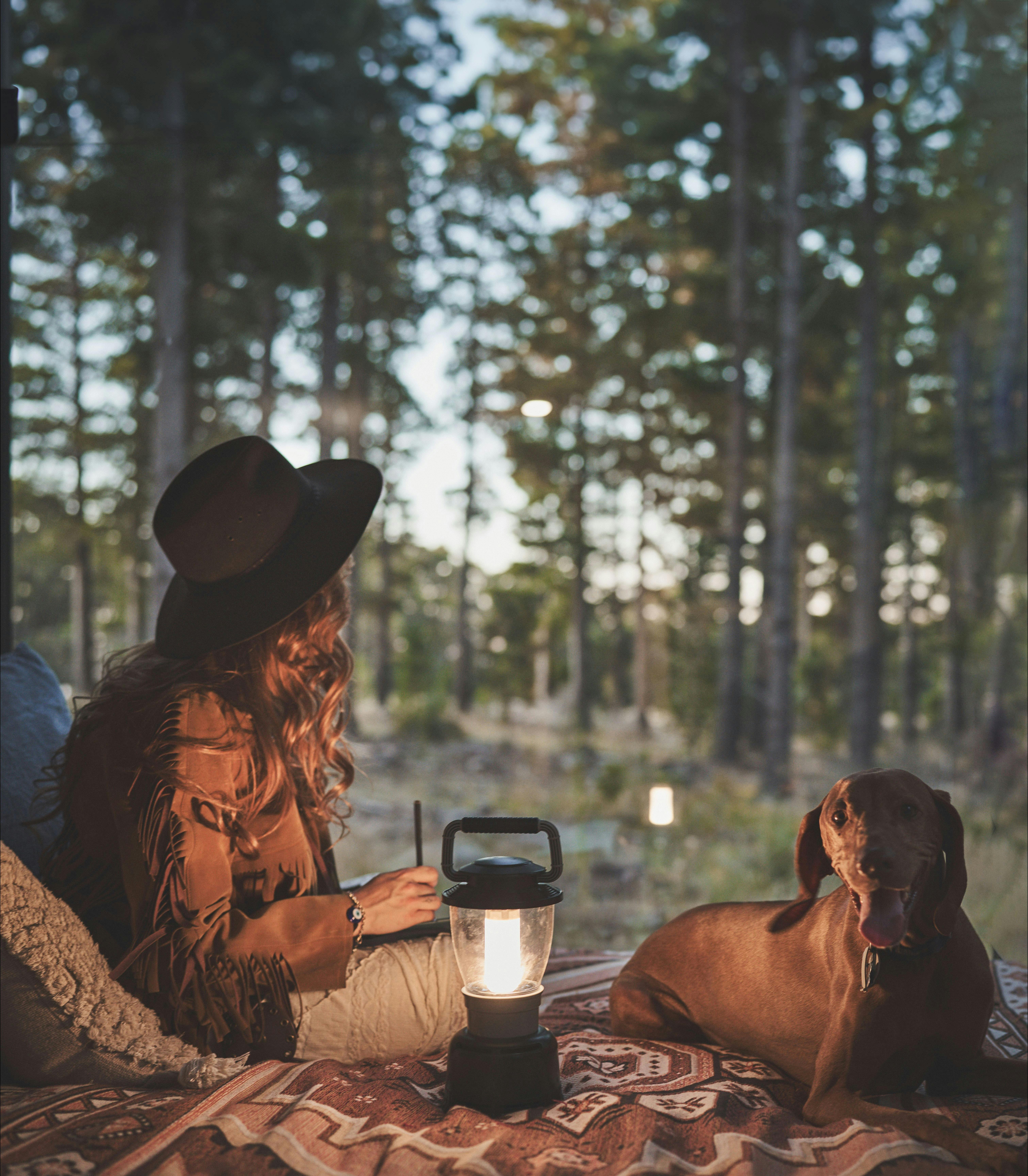 CABN Kuitpo Forest Pet Friendly Accommodation