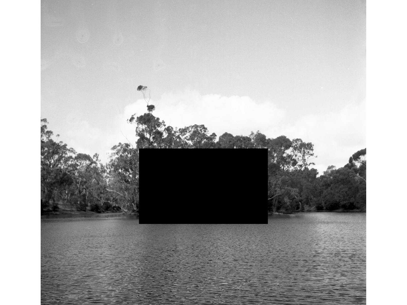 Image for Assembly: Unveiling the City of Adelaide Contemporary Art Collection 2010-2024