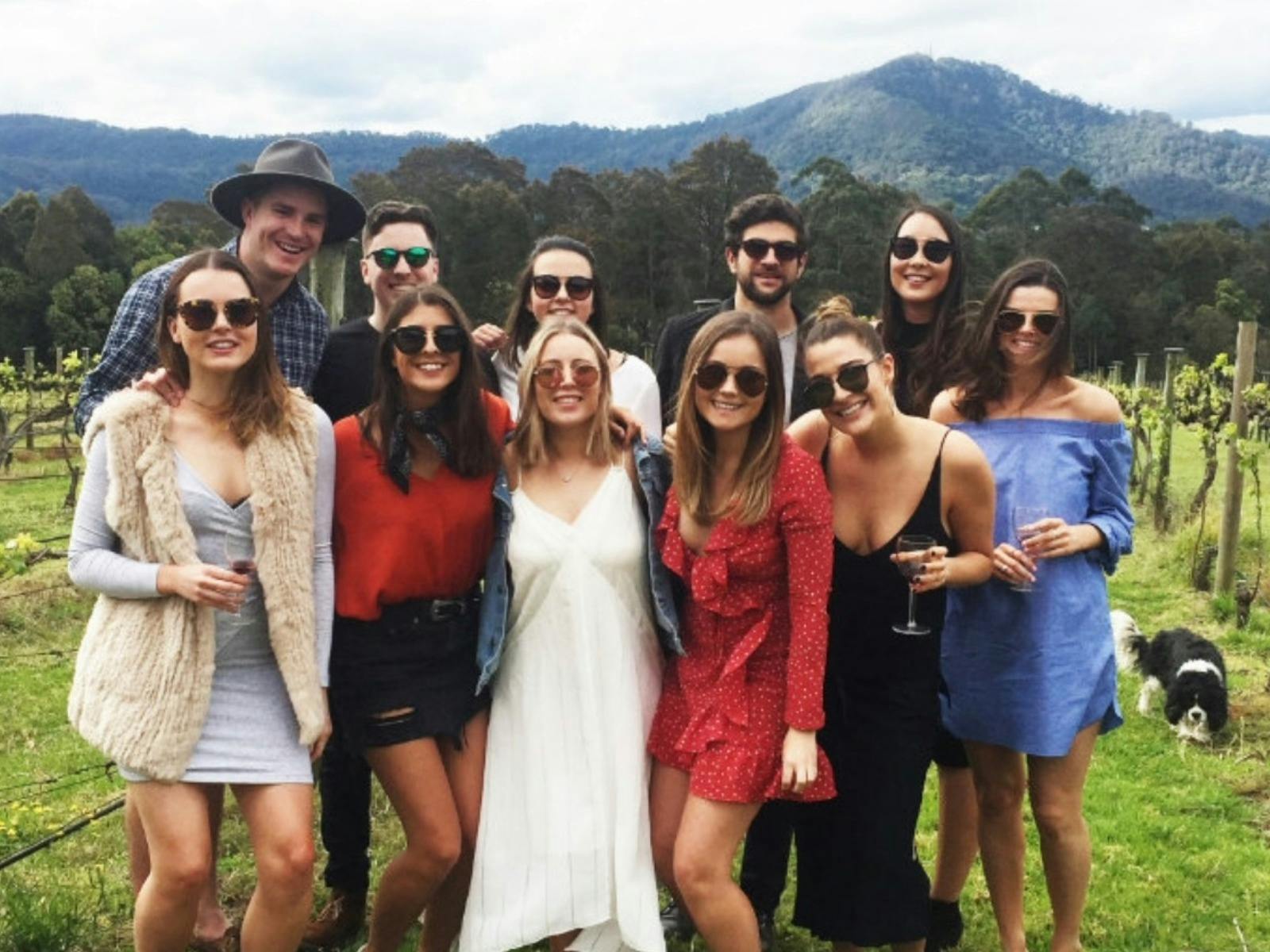 South Coast - Berry NSW Wine Tasting Tour