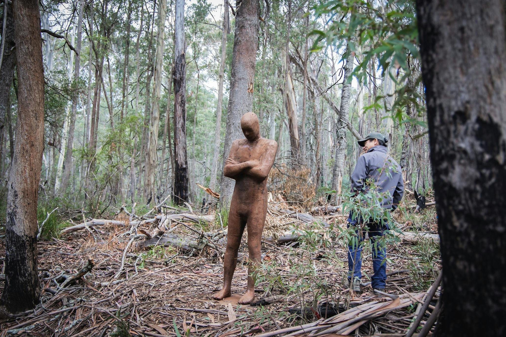 'Contemplation' scultpure, Alpine Ash Walk