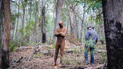 'Contemplation' scultpure, Alpine Ash Walk
