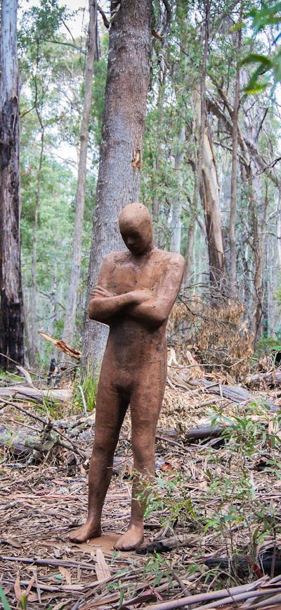 'Contemplation' scultpure, Alpine Ash Walk