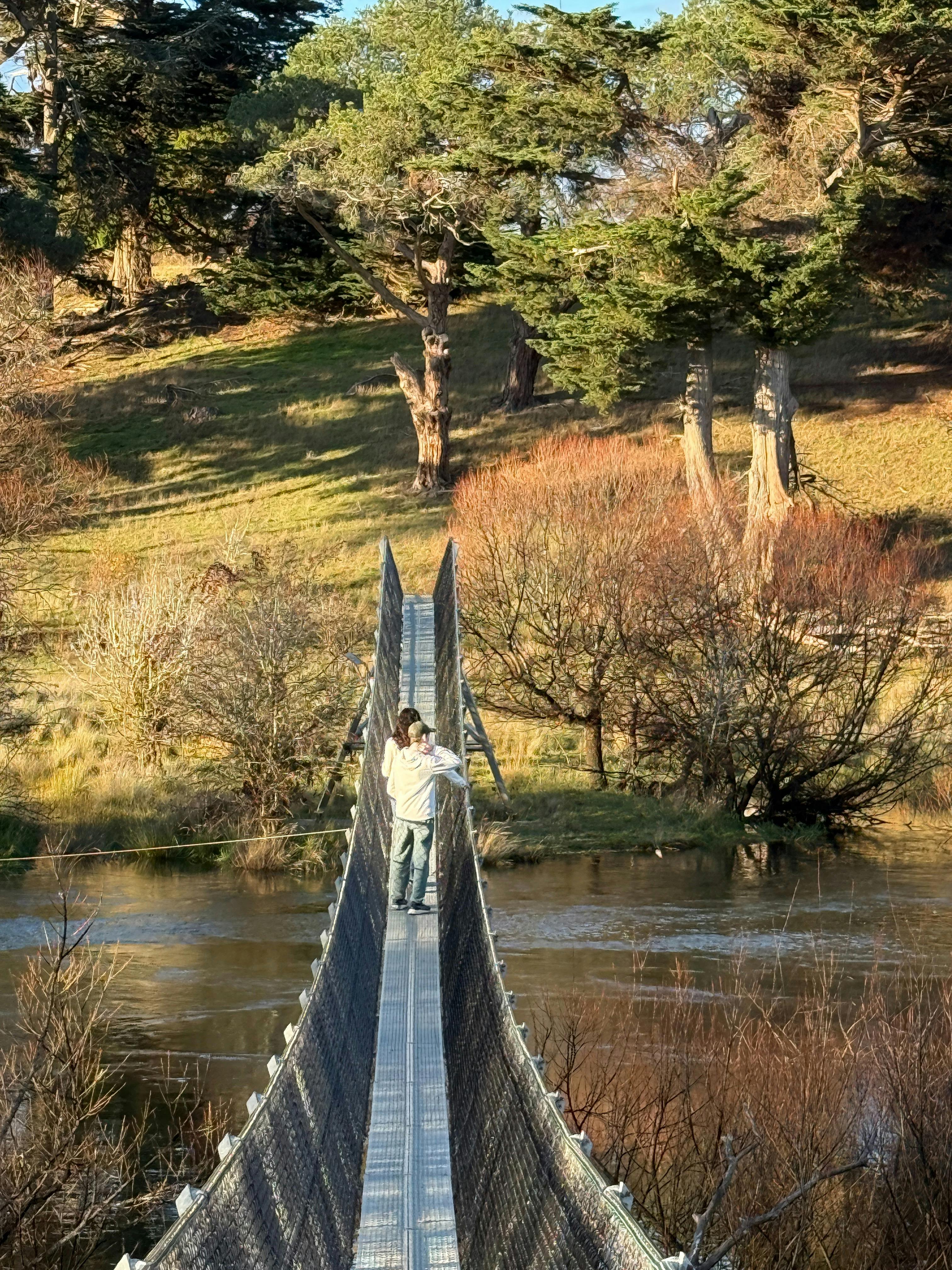 Swinging foot bridge linking Woolmers and Brickendon Estates