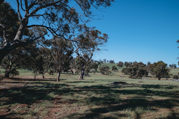 Mintaro to Martindale Hall Short Walk
