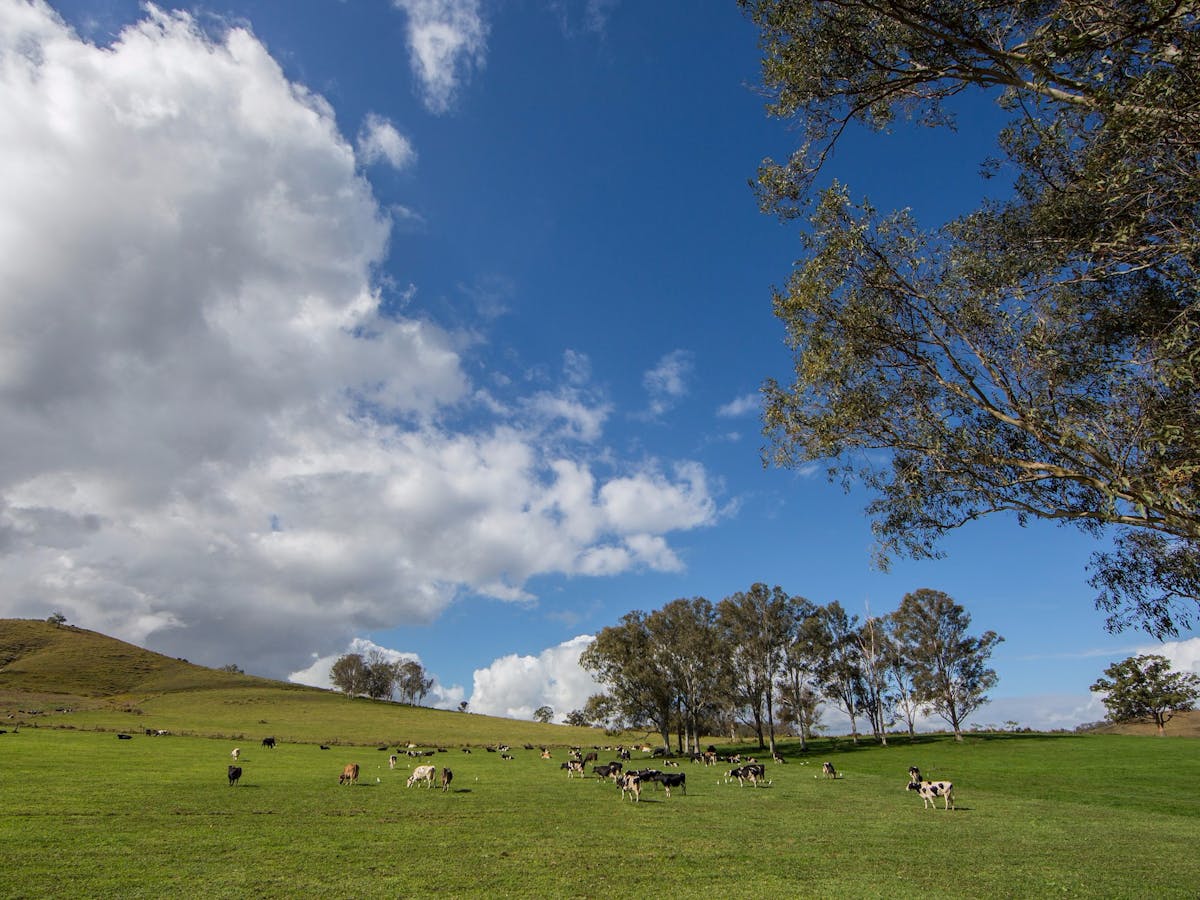 Country side around Woodford Moreton Bay Region