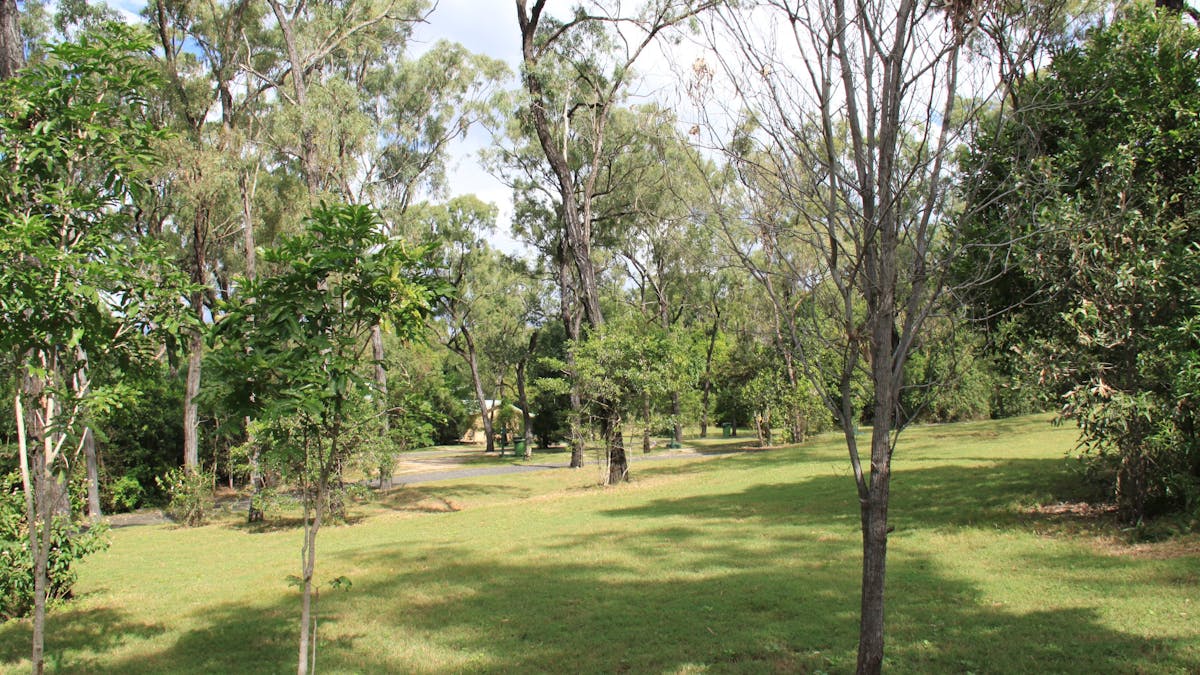 Bushland | Capricorn Caves