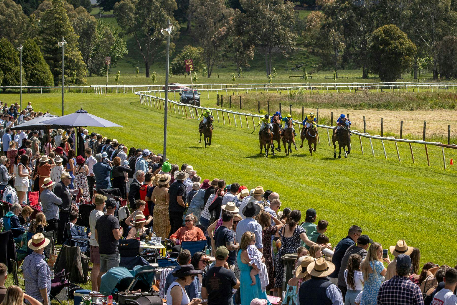 Healesville Picnic Races - Healesville Cup