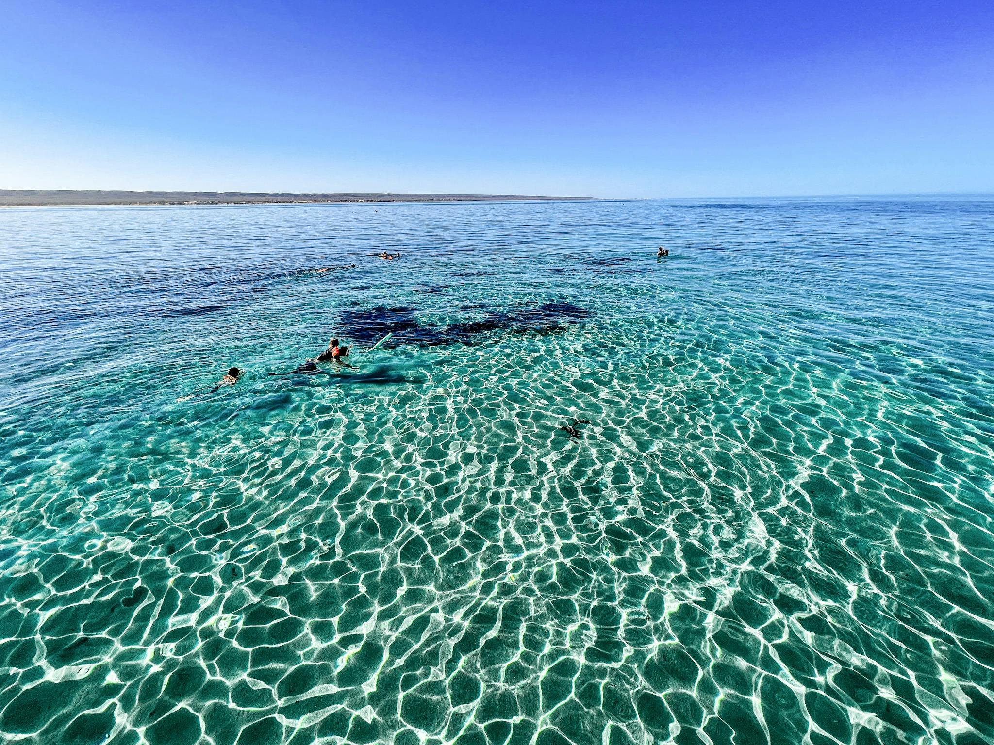 Ningaloo Ecology Cruises Glass Bottom Boat, Exmouth, Western Australia