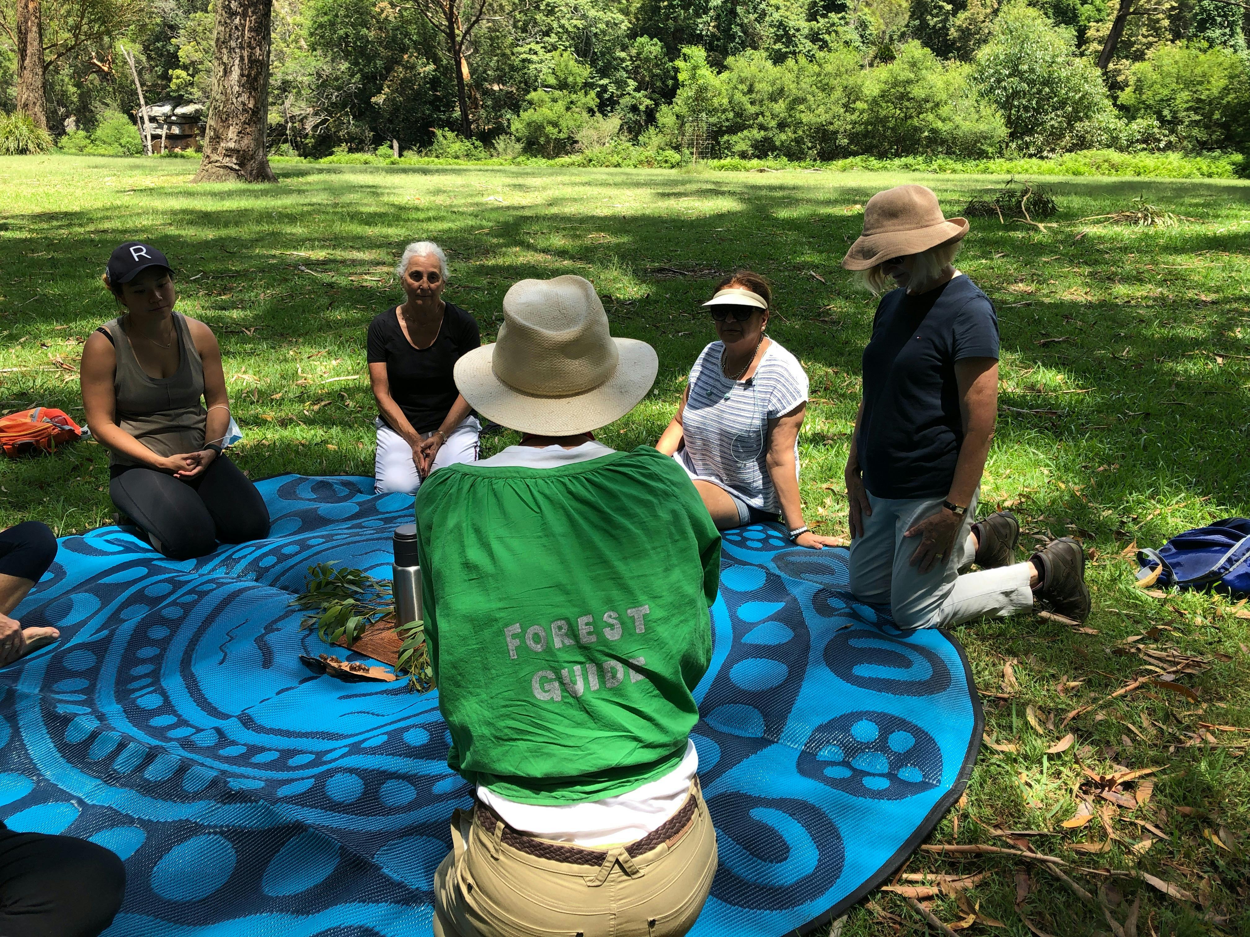 森林浴散歩の最後にお茶