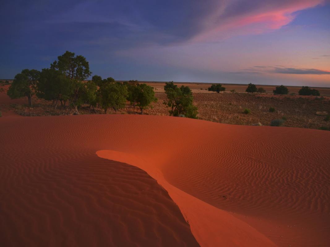 Sando's Sandhill