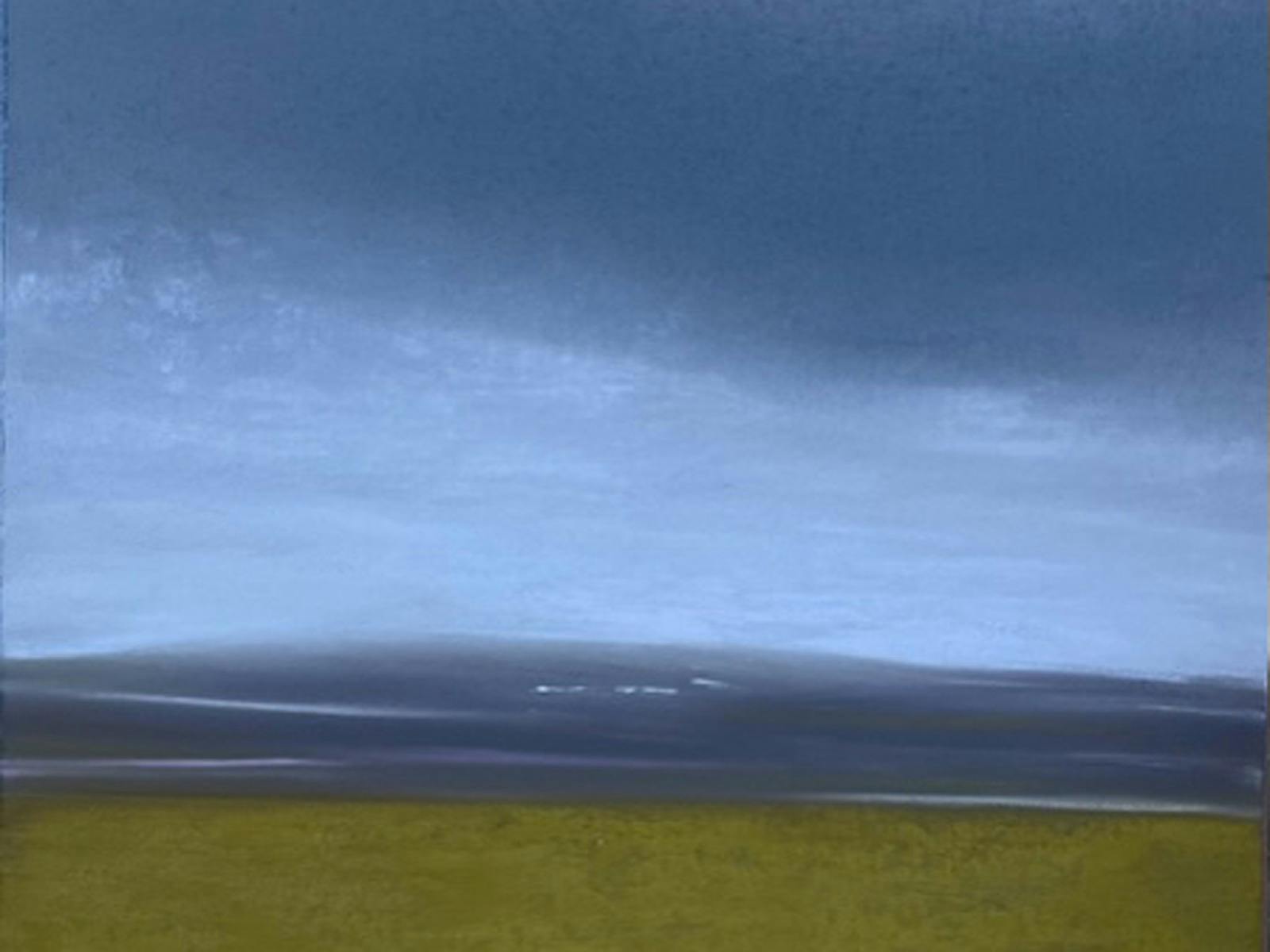 Quietlands by Fiona Kent at The Peisley St Gallery