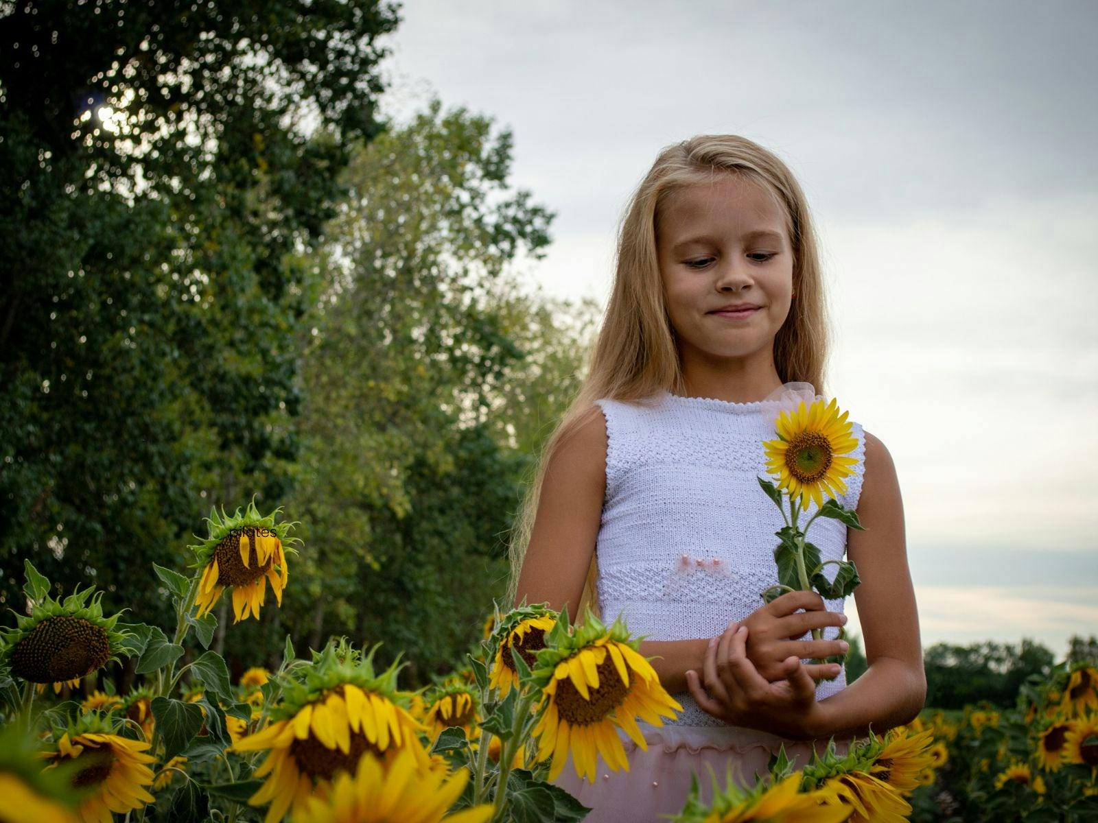 girl in a sunflower field