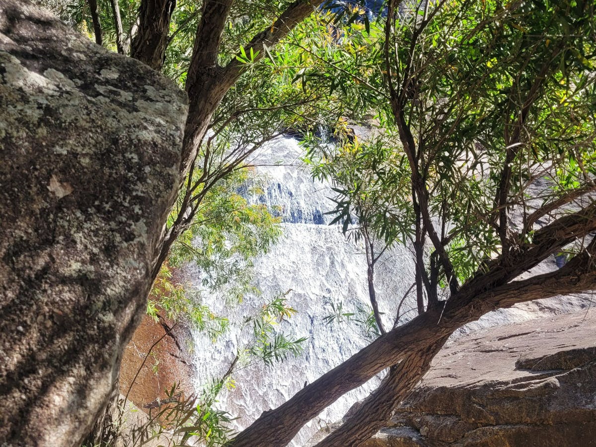 Peering through tree branches and leaves at water cascading down sandstone rock face. Peering through tree branches and leaves at water cascading down sandstone rock face.