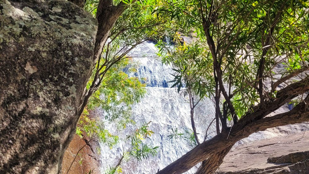 Alligator Falls Track, Bowling Green Bay National Park